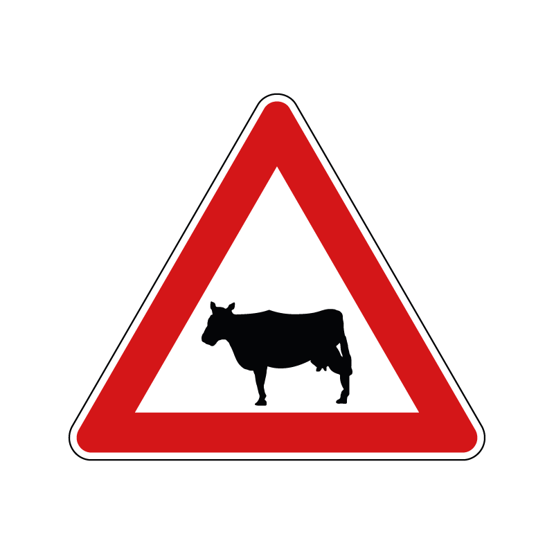 00000024 - Segnale di pericolo - Animali domestici vaganti - Figura 24