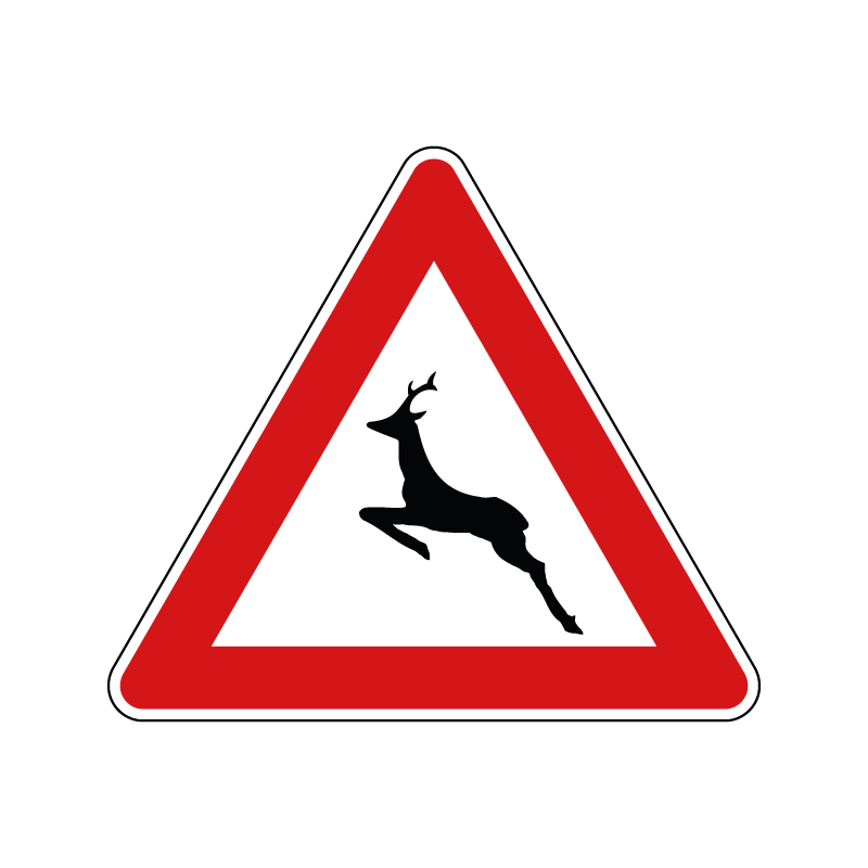 00000025 - Segnale di pericolo - Animali selvatici vaganti - Figura 25