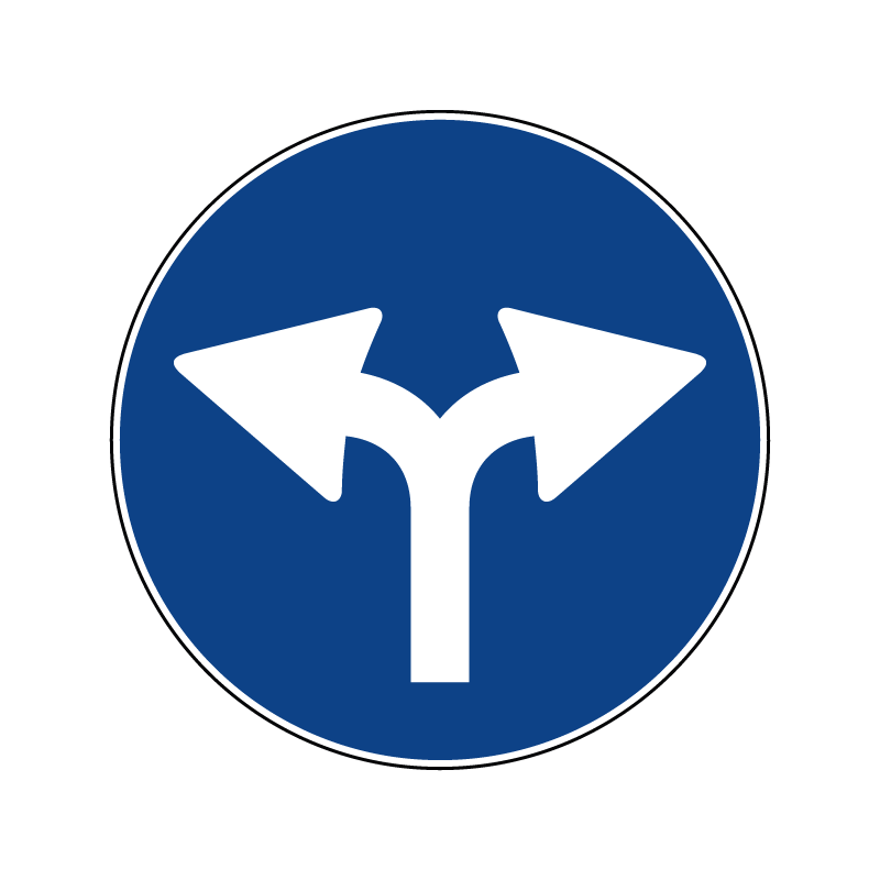 00000081a - Segnale di obbligo generico - Direzioni consentite a destra ed a sinistra - Figura 81a