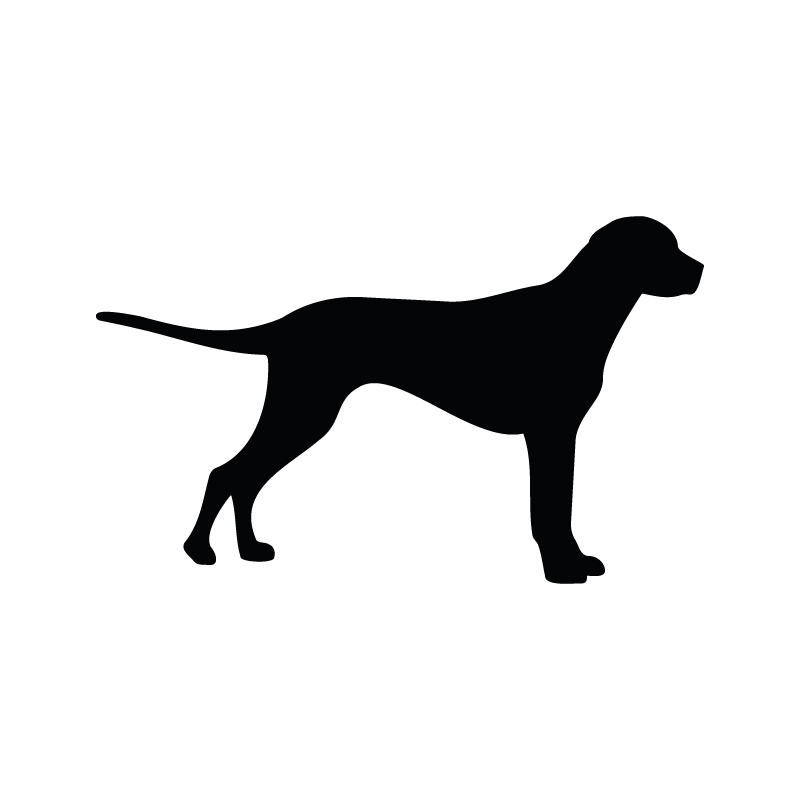 Cane - Adesivo - cod. 00700121