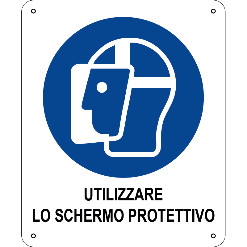 Utilizzare lo schermo protettivo