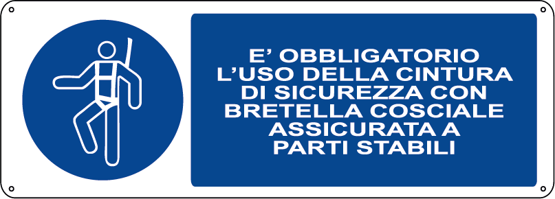 E' obbligatorio l'uso della cintura di sicurezza con bretella cosciale assicurata a parti stabili orizzontale