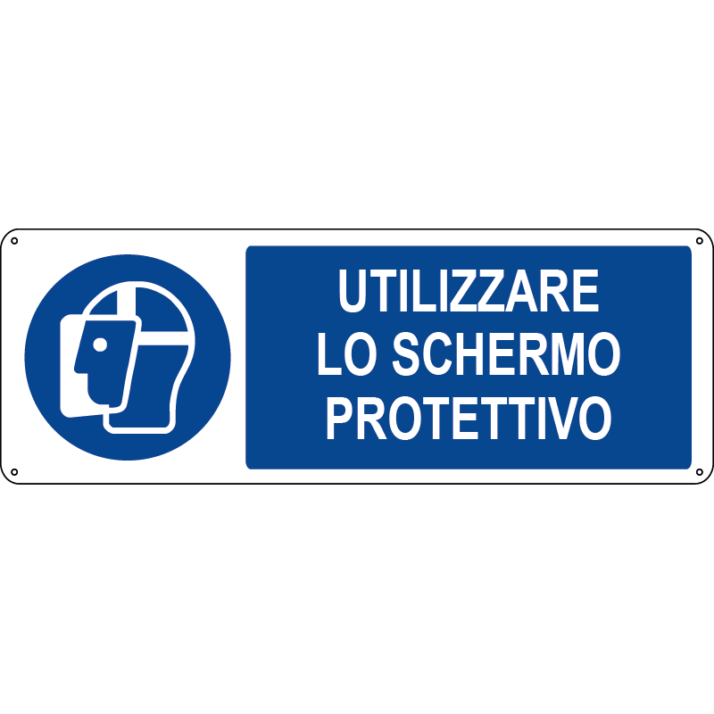 Utilizzare lo schermo protettivo