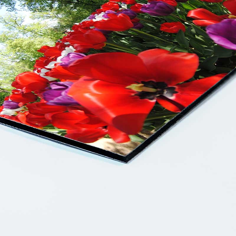 Alluminio Composito colorato con stampa