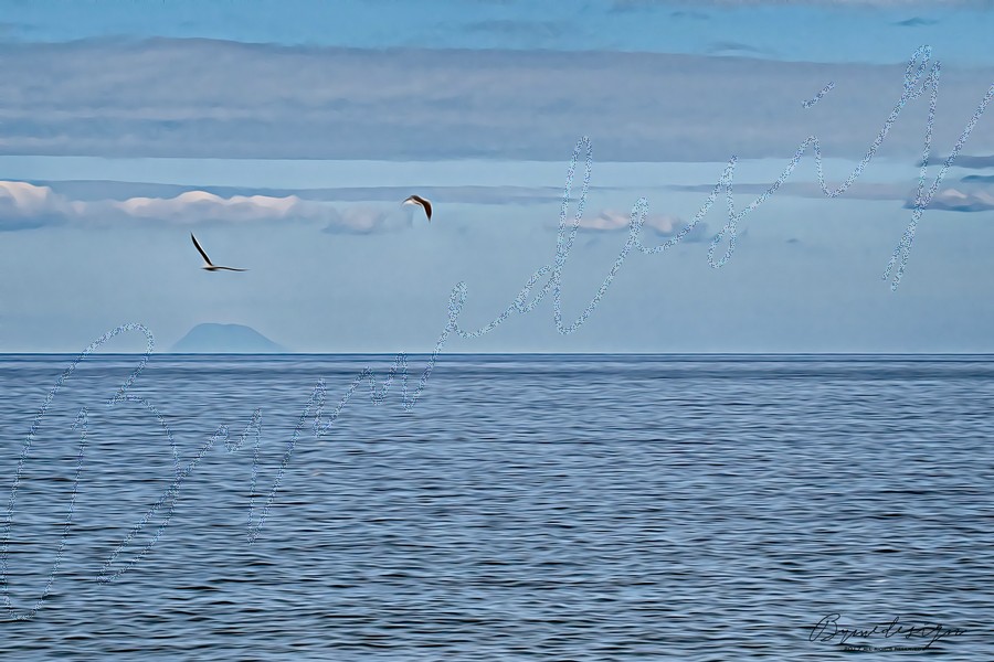 Claudia Spanò - Eolie Isola con Gabbiani