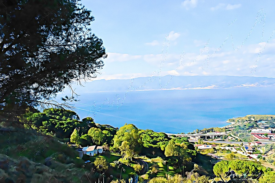 Claudia Spanò - Panorama