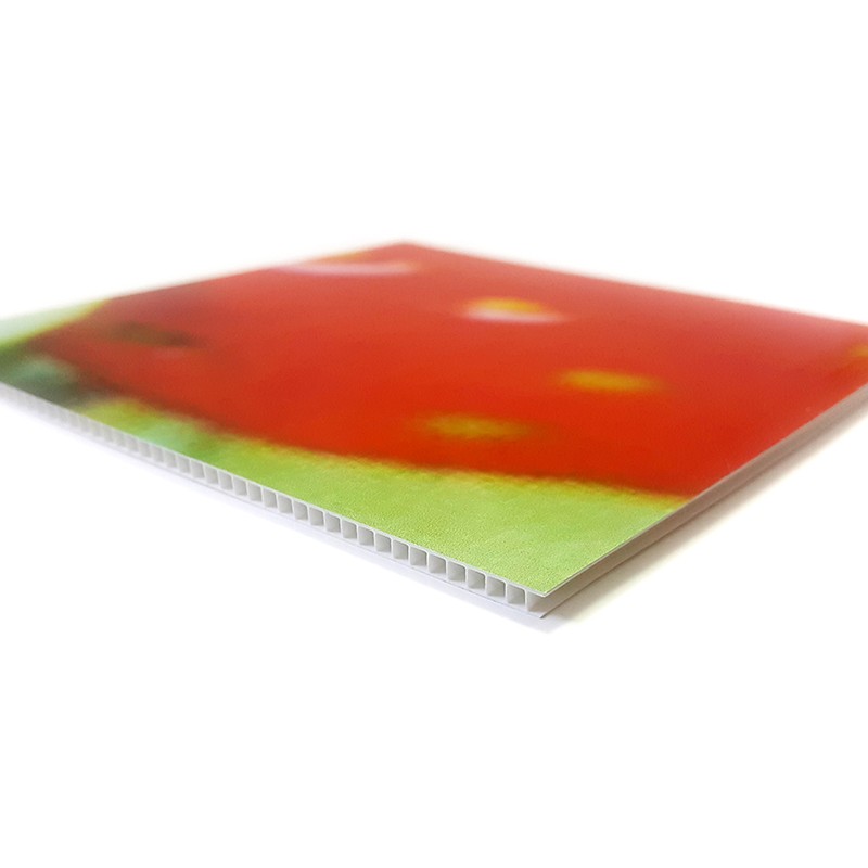 polionda 3mm + pellicola