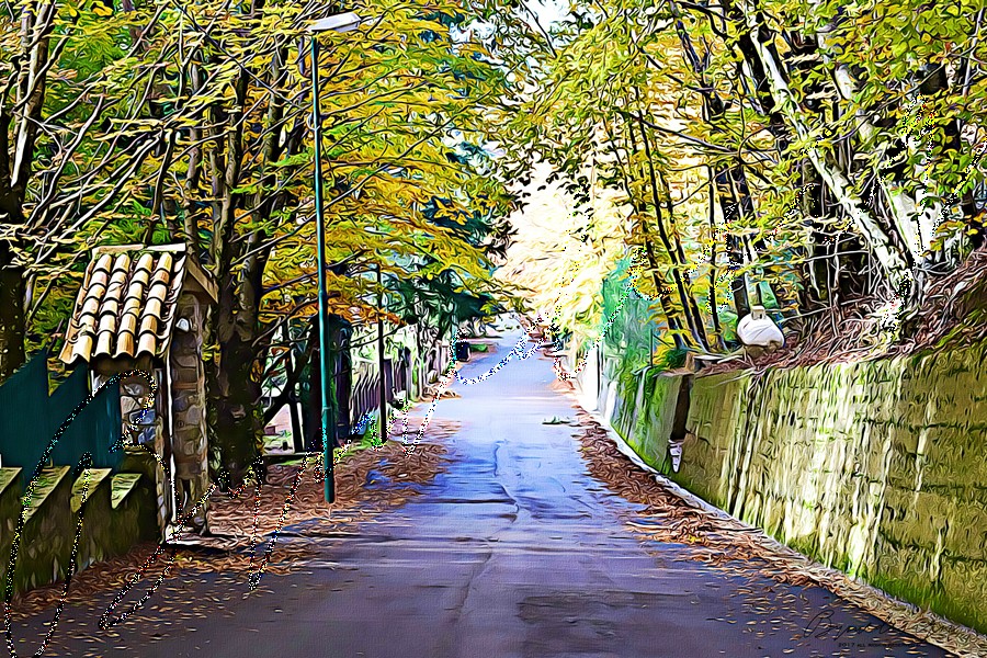 Claudia Spanò - Strada di Montagna