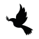 Colomba - Adesivo - cod. 00700131
