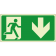 Uscita di emergenza basso orizzontale luminescente
