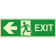 Exit sinistra orizzontale luminescente