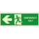 Emergency exit sinistra orizzontale luminescente