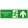 Emergency exit alto orizzontale luminescente