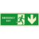 Emergency exit basso orizzontale luminescente