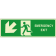 Emergency exit discesa sinistra orizzontale luminescente