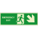 Emergency exit discesa destra orizzontale luminescente